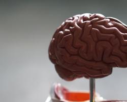 Badanie na Alzheimera z krwi – jakie wykonać?